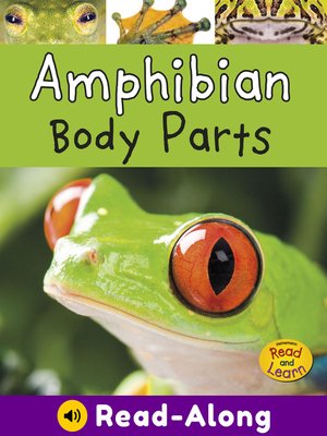 cover image of Amphibian Body Parts
